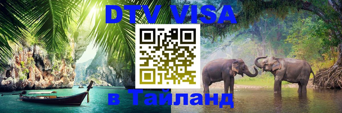 DTV (ДТВ) visa Таиланд Амстердам 